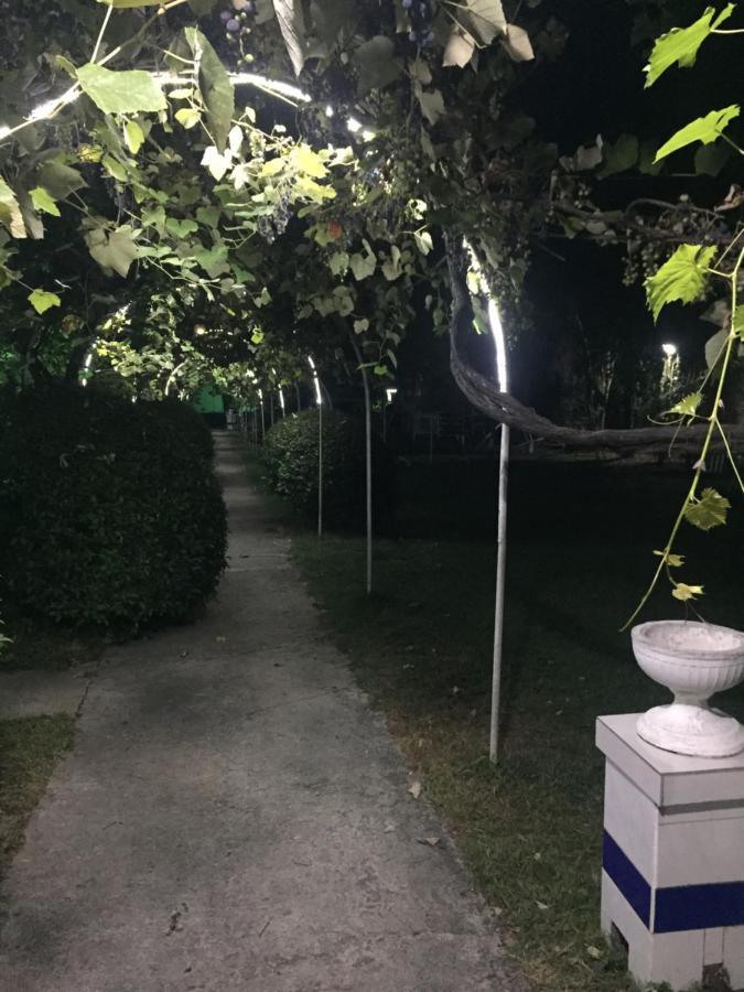 Hotel Baza Otdyha Miya Gudauta Exteriér fotografie