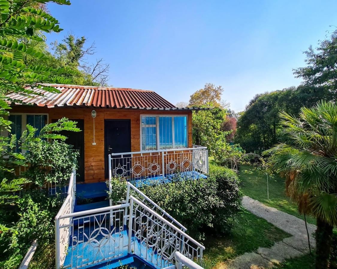 Hotel Baza Otdyha Miya Gudauta Exteriér fotografie