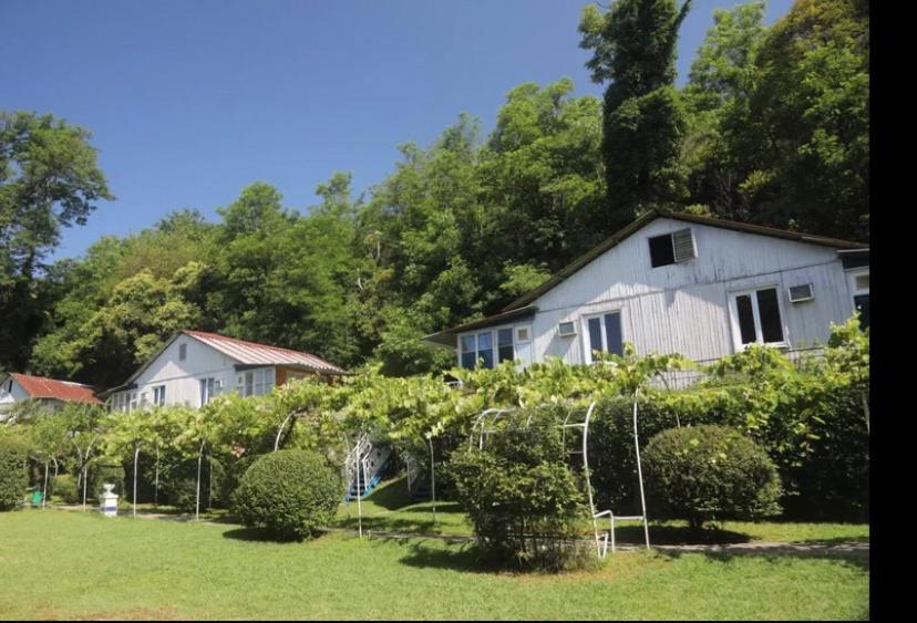 Hotel Baza Otdyha Miya Gudauta Exteriér fotografie