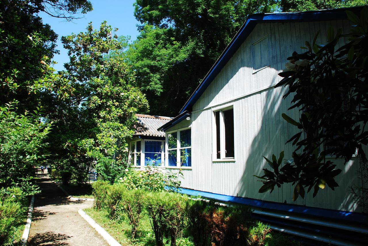 Hotel Baza Otdyha Miya Gudauta Exteriér fotografie